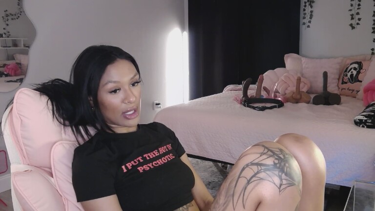 MissMulatta's Streamate show and profile