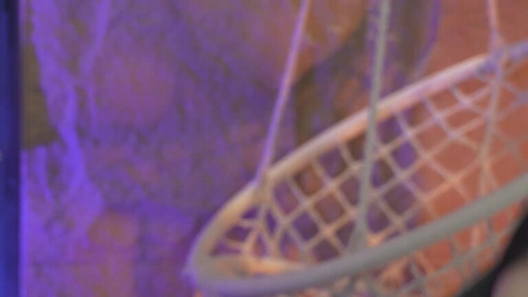 Miawiithe's Streamate show and profile